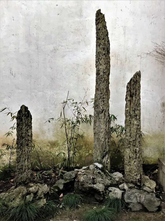 园中墙角小景.从"珍珠塔"出来,我们又进入一个"松石悟园".