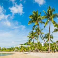 Tropical island ocean beach palm tree white sand resort Singapore