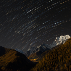 Pine forest mountain range in autumn season with snow peak and spot light from Chonggu Monastery in night sky with startails at Yading National Park,  Daocheng, Sichuan, China