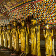 Golden Buddha statues in  Dambulla Cave Temple, Sri Lanka.
