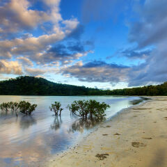 Cape Tribulation Australia
