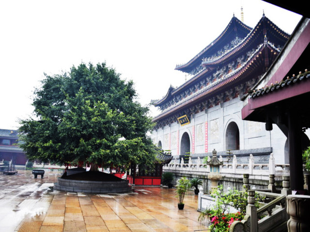 大佛禪院原名大佛寺,既是去峨眉山佛界祈福,朝聖的起點;又是公眾遊客