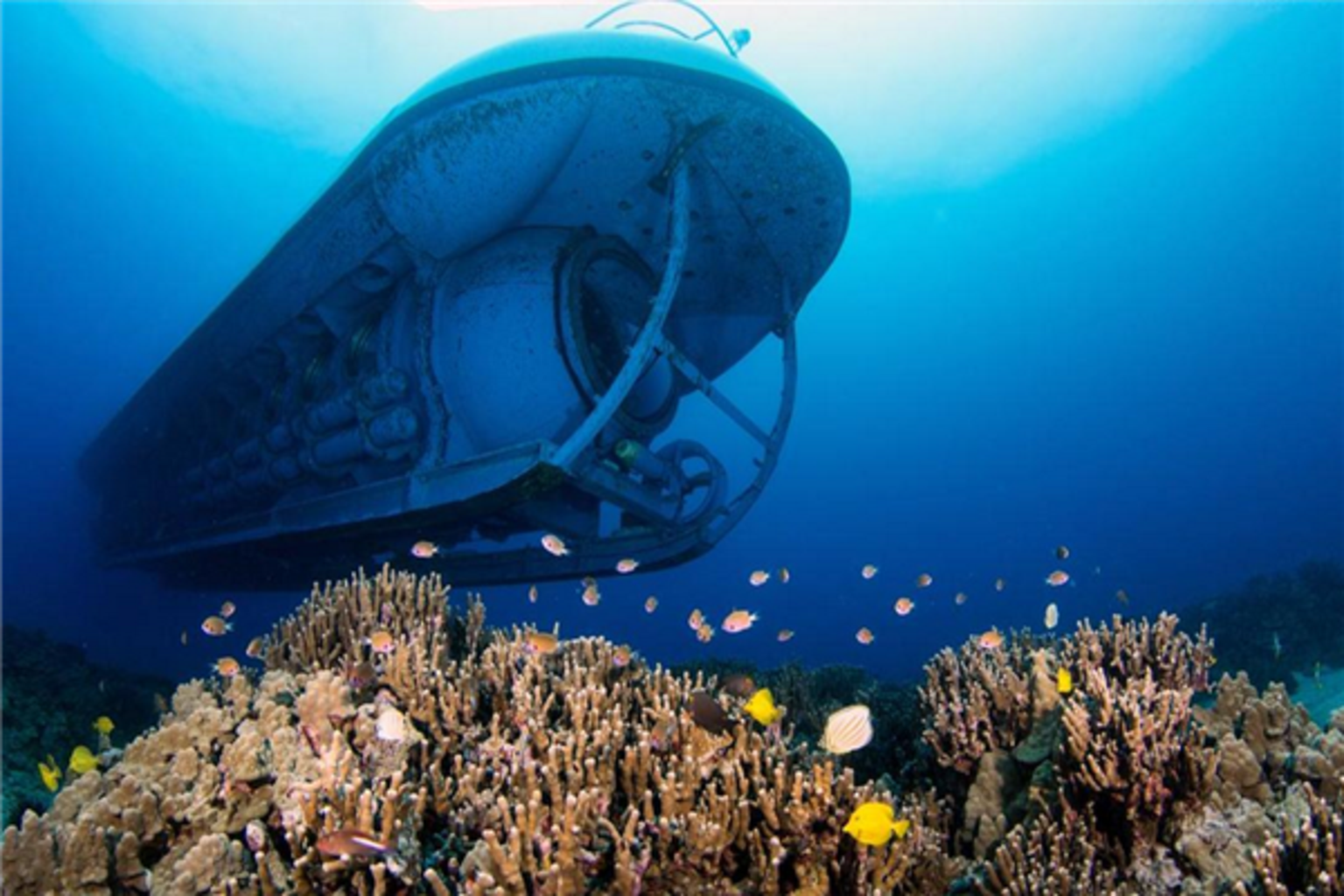 深海之美——夏威夷 亚特兰蒂斯号潜水艇探索之旅
