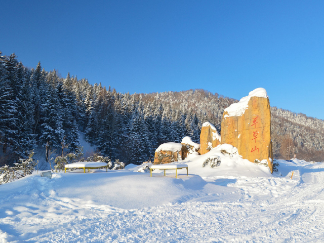 哈尔滨-五常-大雪谷-雪乡-亚布力5日-途牛