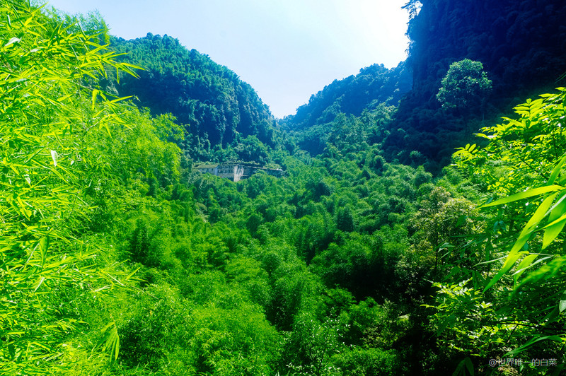 遇見一座冷門小城沐川竹海自駕兩日遊