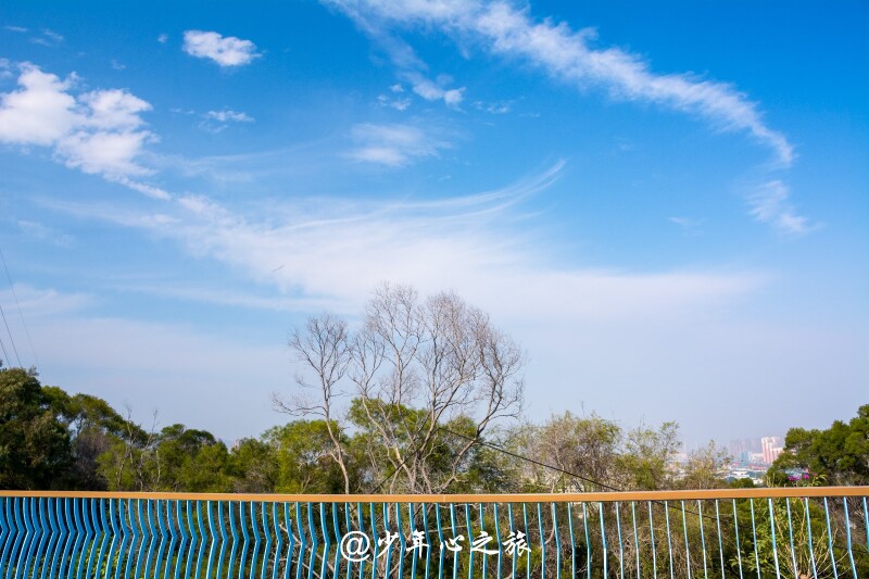 #带着音乐去旅行#穿越千年的繁华,福建泉州2日