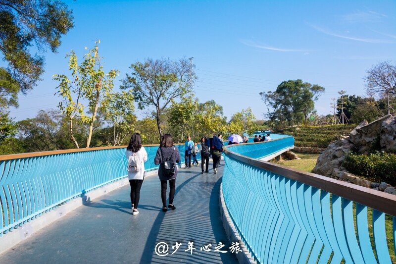 #带着音乐去旅行#穿越千年的繁华,福建泉州2日