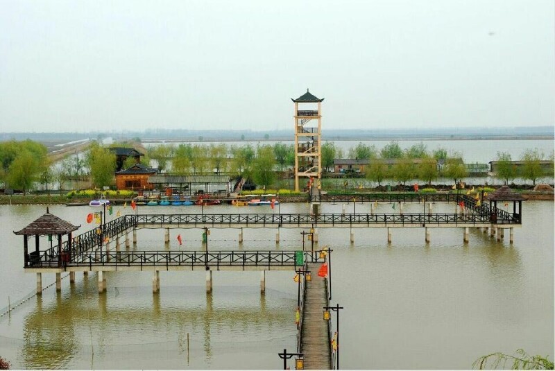 高邮湖芦苇荡湿地踏春行——万顷芦荡看飞鸟