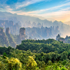  Magical scene at Zhangjiajie Forest Park. Mountain cliffs and pillars immersed in fog at sunrise. Hunan province, China.