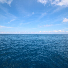 Horizon of the sea 