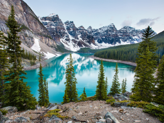 艾伯塔伍德布法罗国家公园