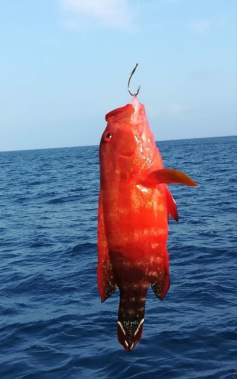 西沙群島戀上藍色地平線