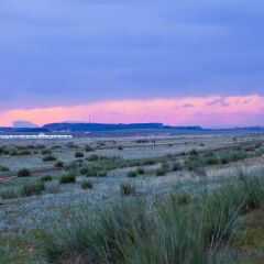 内蒙古希拉穆仁草原