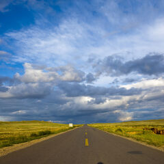 内蒙古希拉穆仁草原