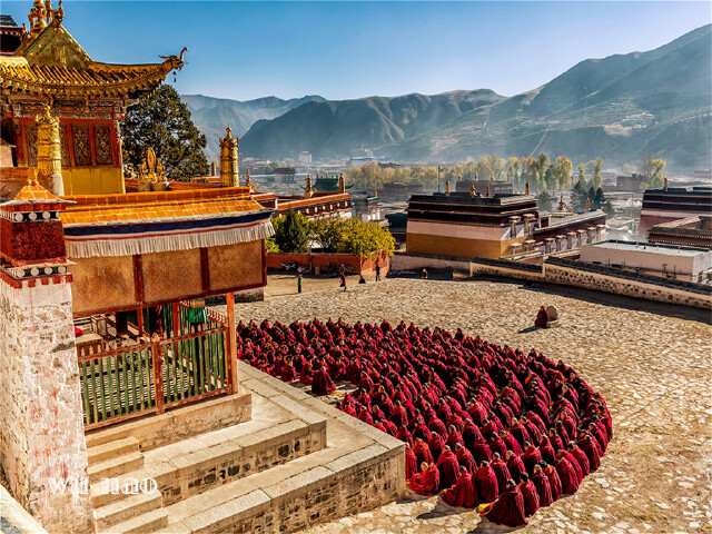  甘南-年保玉则-扎尕那-黄河九曲-若尔盖-拉卜楞寺-尕海7日游>接机