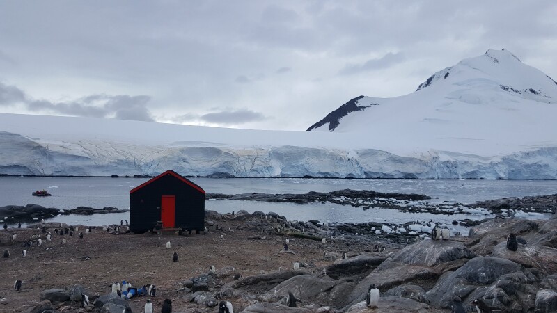 我和庞洛相约南极 (ponant, best cruise)_南极洲游记_途牛