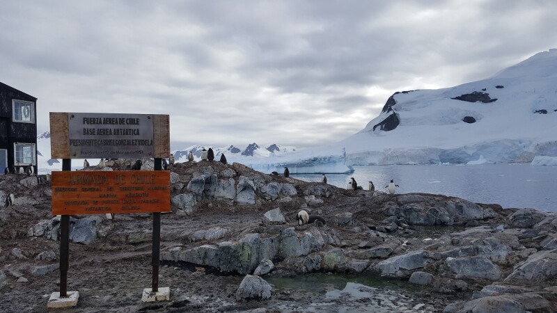 我和庞洛相约南极 (ponant, best cruise)