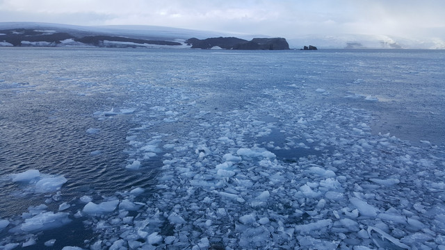 sea ice