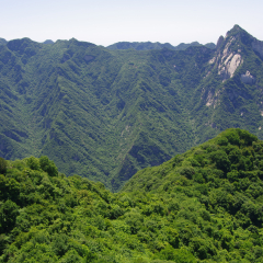 Shao hua mountain, located in the weinan city, near xi 'an, shaanxi province, is a mountain that is comparable to huashan, one of the main peaks of qinling.