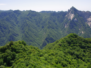 中峰