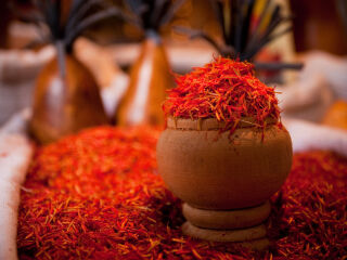 乌兹别克斯坦斯坦酒店