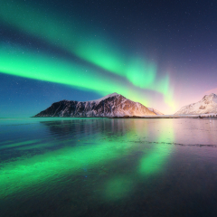 Northern lights in Lofoten islands, Norway. Green Aurora borealis. Starry sky with polar lights. Night winter landscape with aurora, sea with sky reflection, rocks, beach and snowy mountains. Travel