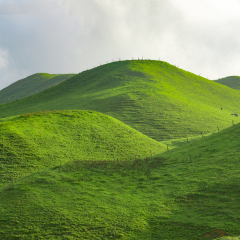 邵阳城步南山牧场