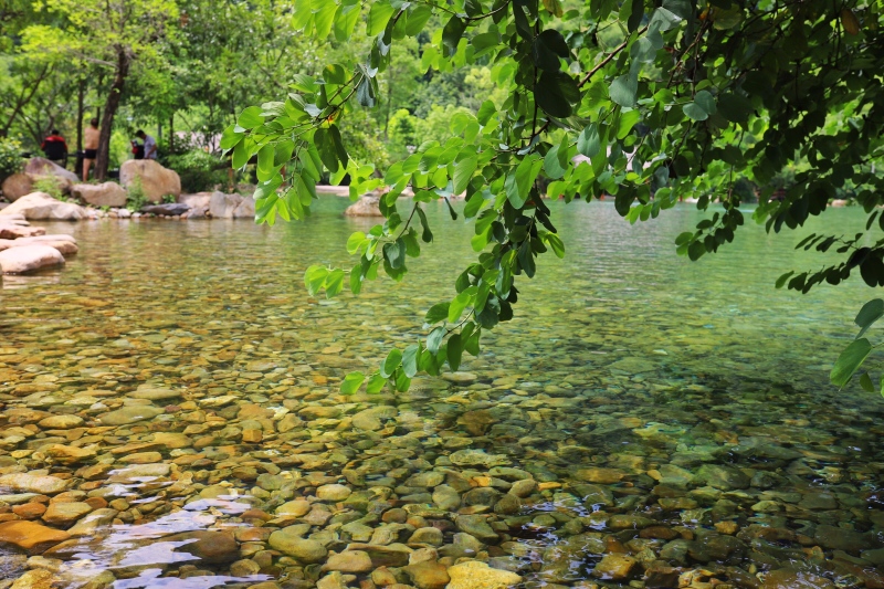 史上最长的三伏天,这个夏天去哪儿透心凉