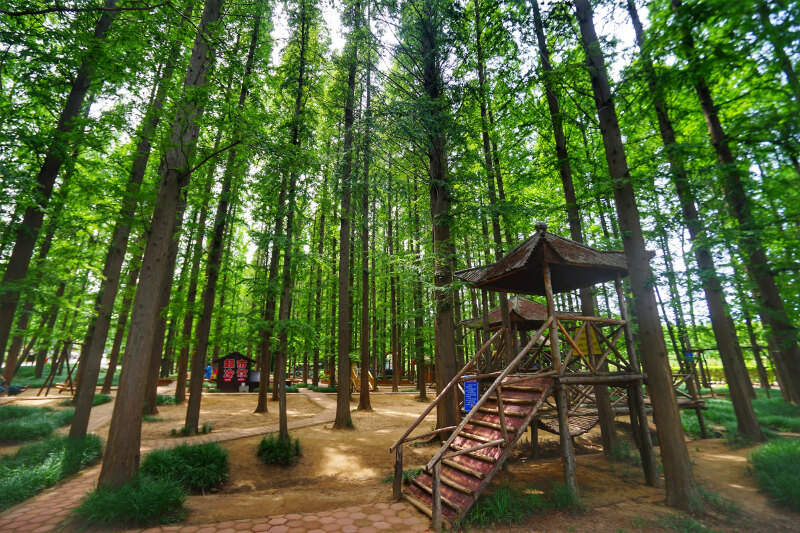 【首发】单车自驾:日照吴家台,畅游蓝天碧海之间