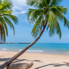 Sanya natural scenery in hainan island, China