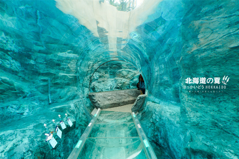 玻璃隧道附近图片