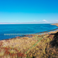 Qinghai Lake, Gobi