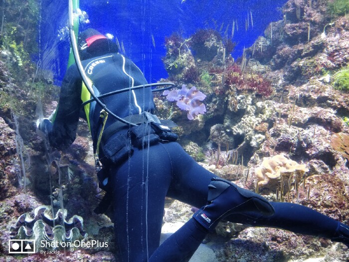 海洋馆的工作人员在认真的清理各种垃圾.