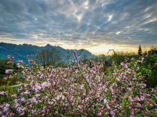 绵阳药王谷景区