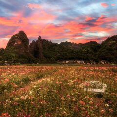 崀山花海