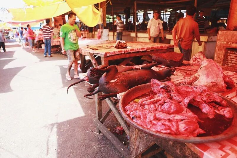 市场"之所以得名,是因为这里贩卖的食材,很挑战外地人的心理防线,蟒蛇