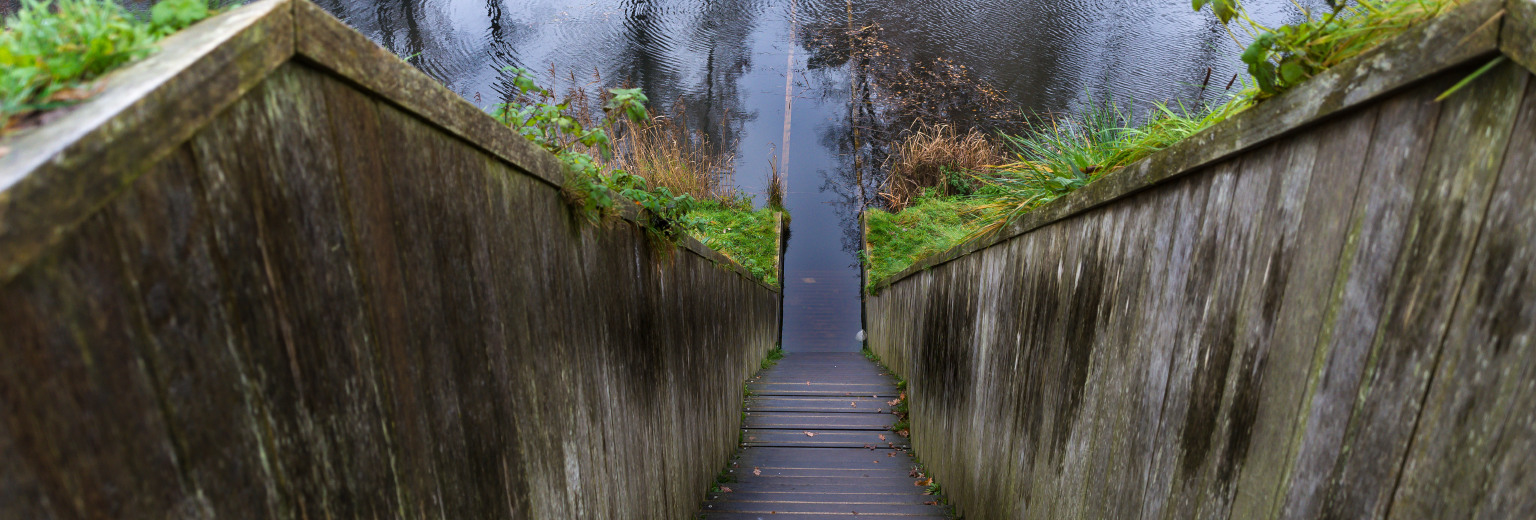 摩西桥旅游攻略