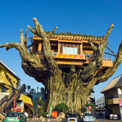 景点模块 