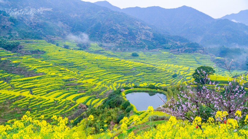婺源篁岭景区                     爱在