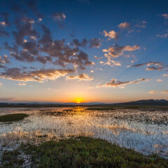 内蒙古乌兰布统日出