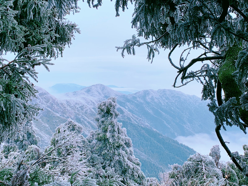 南岳衡山雾凇,看这一篇旅游攻略就够了(含爬山交通等信息)