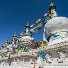 呼和浩特大召寺涅槃塔
