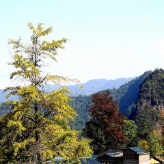 灵川