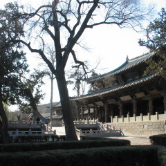 圣母殿