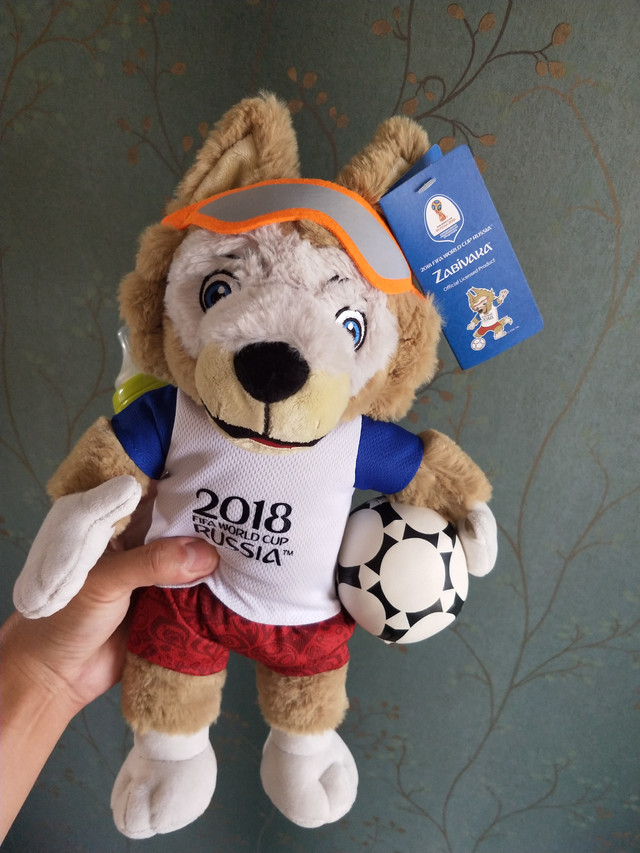 与足球说再见--2018年俄罗斯世界杯之旅