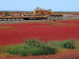 红海滩国家风景廊道