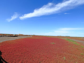 红海滩国家风景廊道