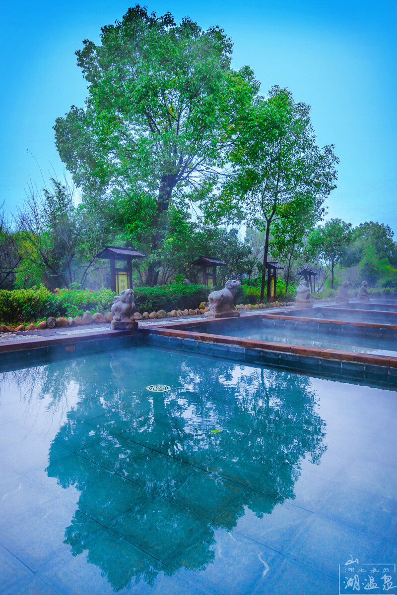 身在玻璃池,面朝山湖景,摘下月亮给你,山湖温泉浪漫而惬意!