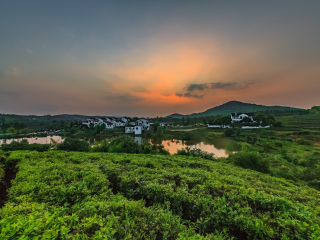黄龙岘茶文化村