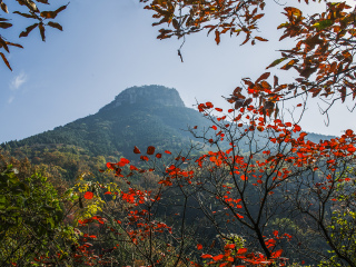 抱犊崮国家森林公园